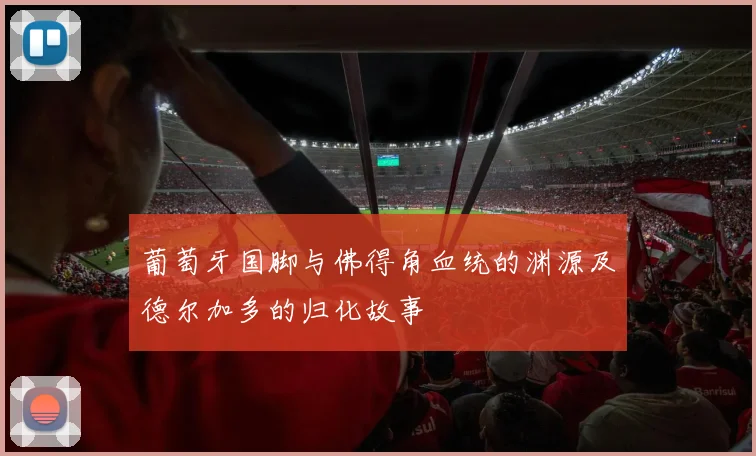 葡萄牙国脚与佛得角血统的渊源及德尔加多的归化故事